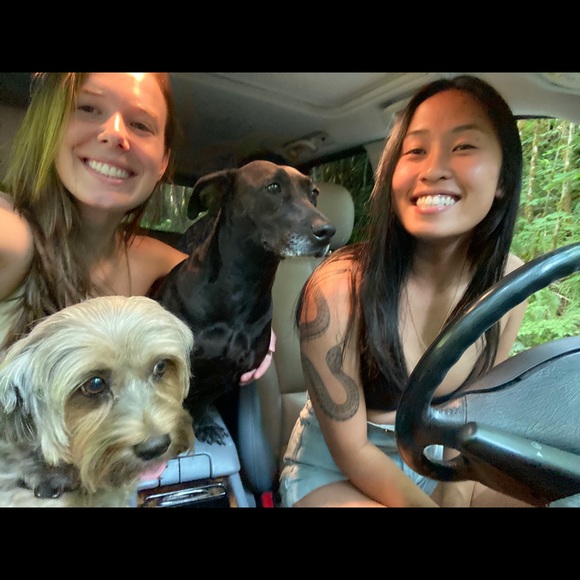 Meet your Posher, Linda - Picture 1 of 1